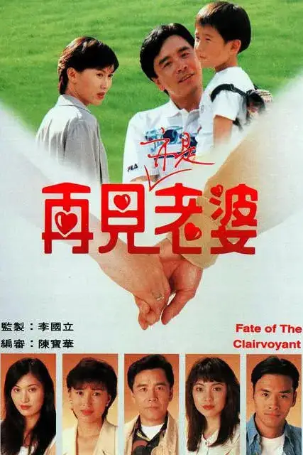 《再见亦是老婆》封面