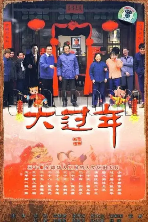 《大过年》封面