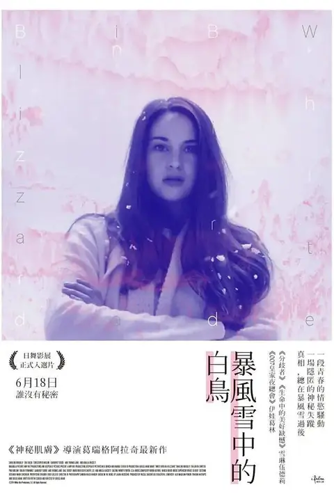 《暴风雪中的白鸟》封面