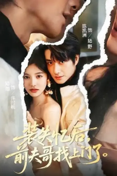 《装失忆后，前夫哥找上门了》封面