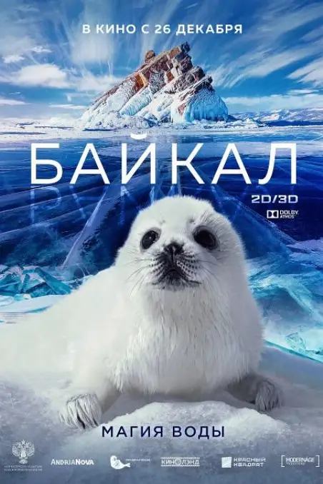 《神奇的贝加尔湖》封面