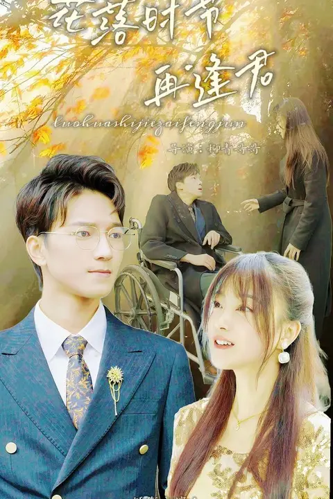 《落花时节再逢君》封面