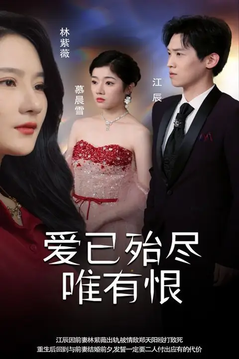 《爱已殆尽唯有恨》封面