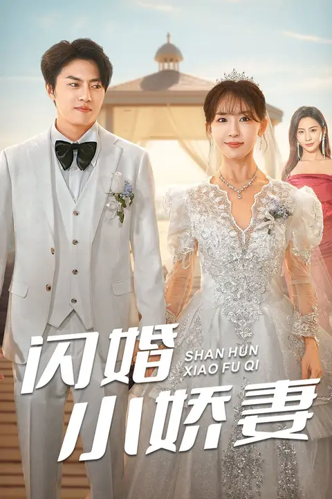 《闪婚小娇妻》封面