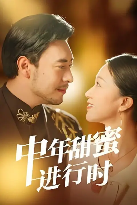 《中年甜蜜进行时》封面