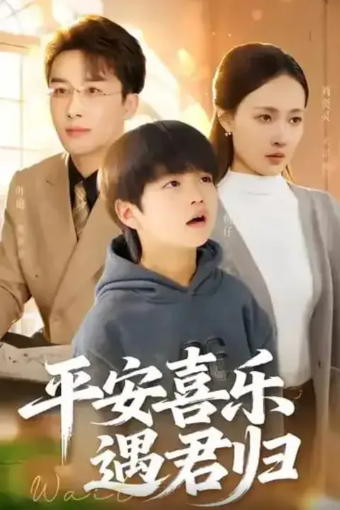 《平安喜乐遇君归 (天才宝贝寻爹计)》封面