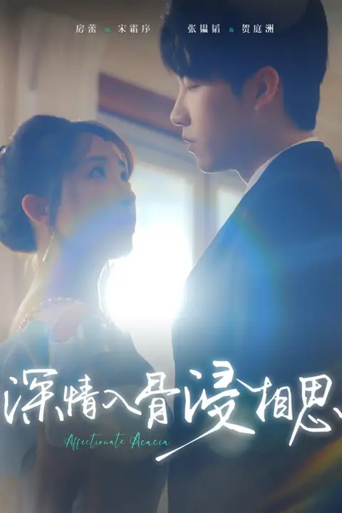 《深情入骨浸相思》封面