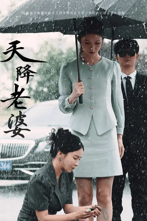 《天降老婆》封面