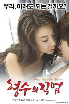 《嫂子的职业》封面