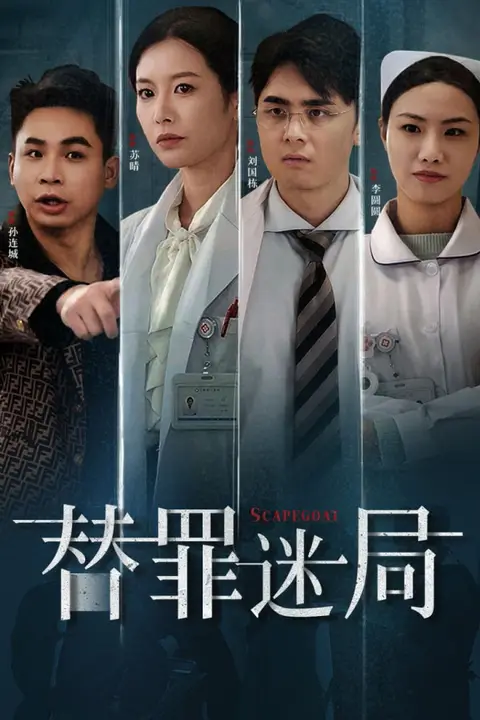 《替罪迷局》封面