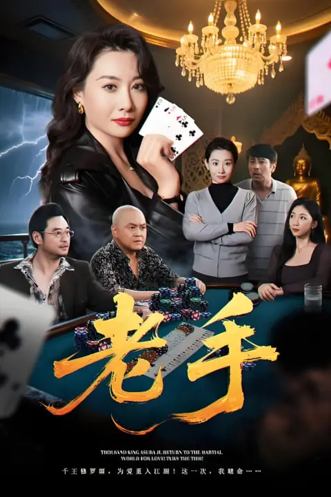 《老手》封面
