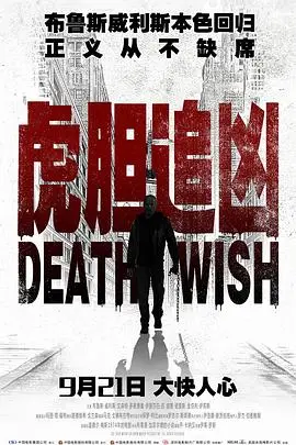 《虎胆追凶》封面