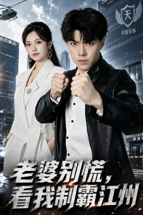 《老婆别慌,看我制霸江州》封面