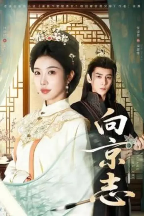 《向京志》封面
