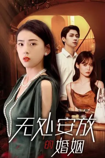 《无处安放的婚姻》封面