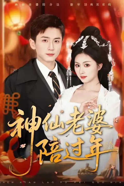 《神仙老婆陪过年》封面