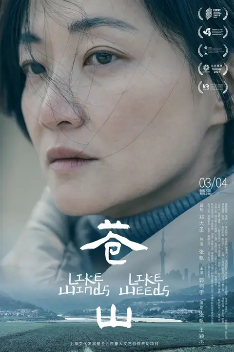 《苍山》封面