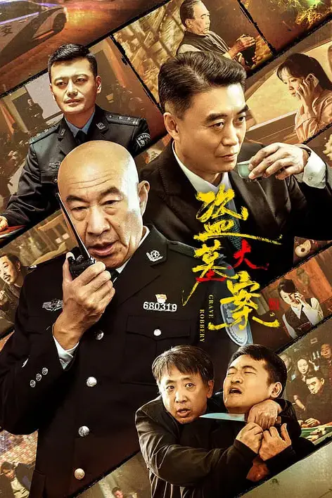 《盗墓大案 追捕行动》封面