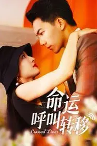 《命运呼叫转移》封面