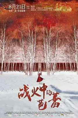 《战火中的芭蕾》封面