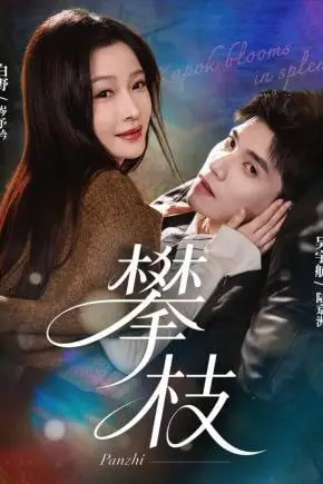 《攀枝》封面