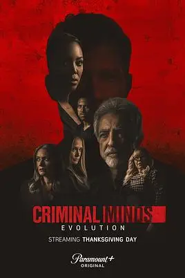 《犯罪心理 第十六季》封面