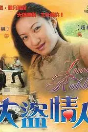 《大盗情人》封面