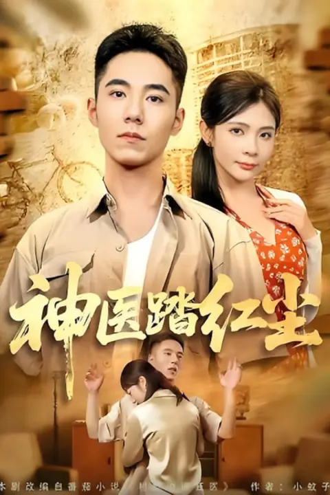 《神医踏红尘》封面