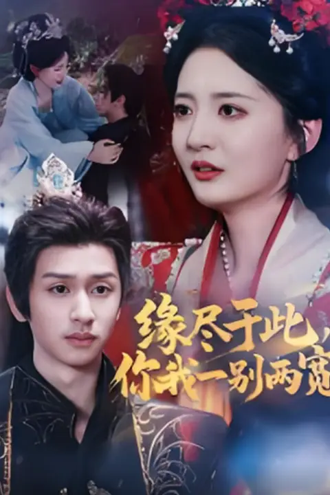 《缘尽于此你我一别两宽》封面