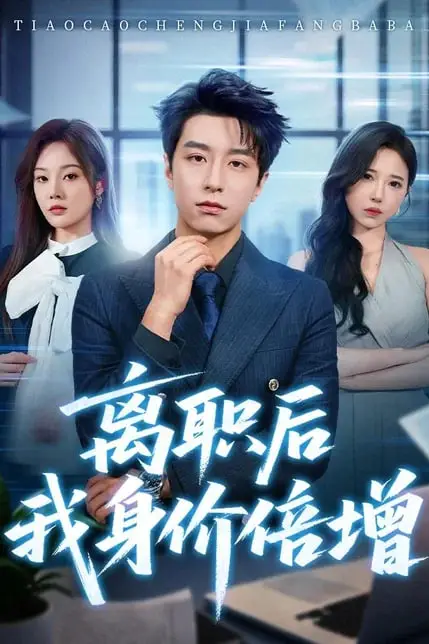 《离职后我身价倍增》封面
