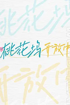 《桃花坞开放中》封面