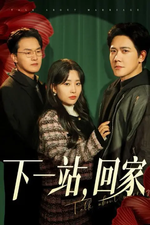 《下一站,回家》封面