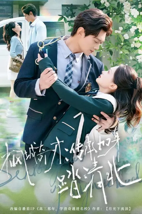 《枫城奇才：传承加身踏清北》封面