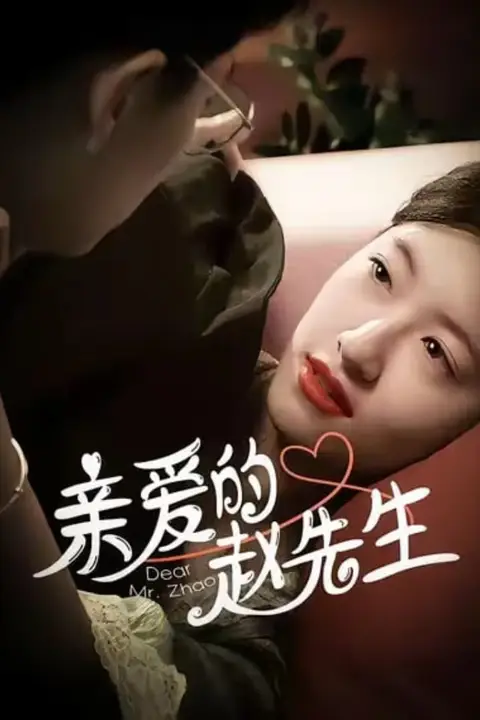 《亲爱的赵先生》封面