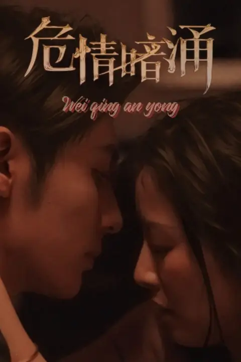 《危情暗涌》封面