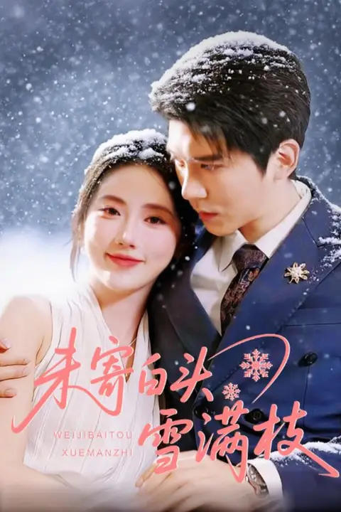 《未寄白头雪满枝》封面