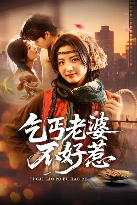 《乞丐老婆不好惹》封面
