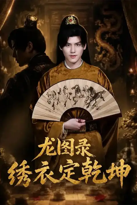 《龙图录：绣衣定乾坤》封面