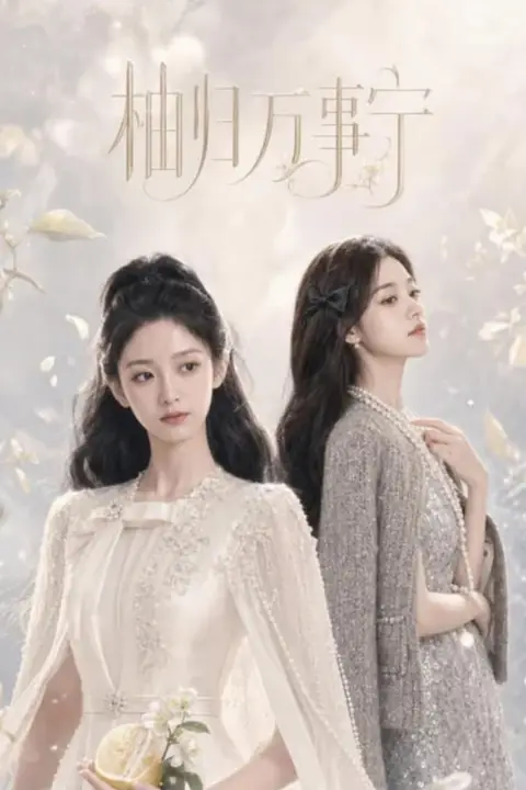 《柚归万事宁》封面