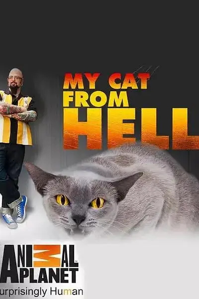 《家有恶猫 第七季》封面