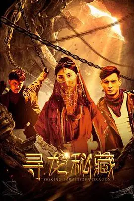 《寻龙秘藏》封面