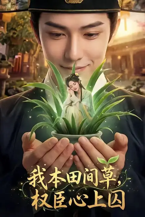 《我本田间草,权臣心上囚》封面