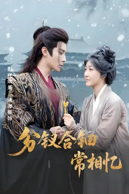《分钗合钿常相忆》封面