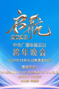 《中央广播电视总台跨年晚会》封面