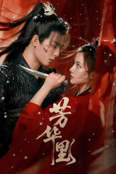 《芳华里》封面