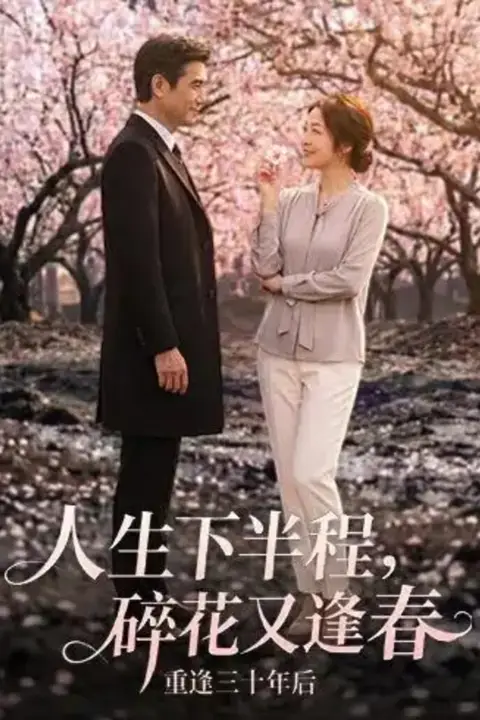 《人生下半程,碎花又逢春》封面