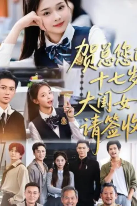 《贺总您的十七岁大闺女请签收》封面