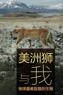 《美洲狮与我》封面