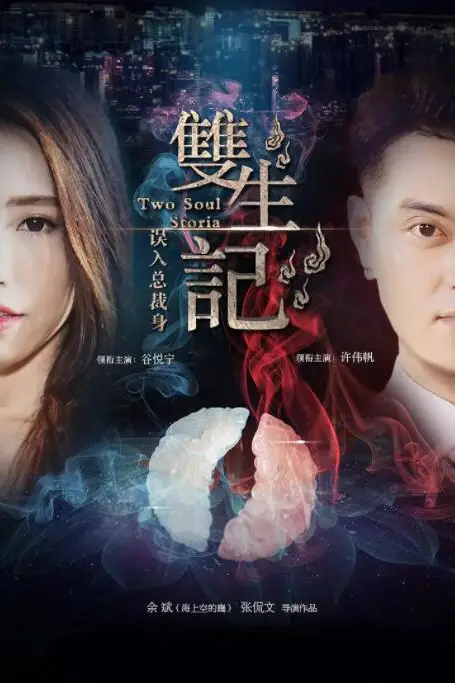 《双生记之误入总裁身》封面