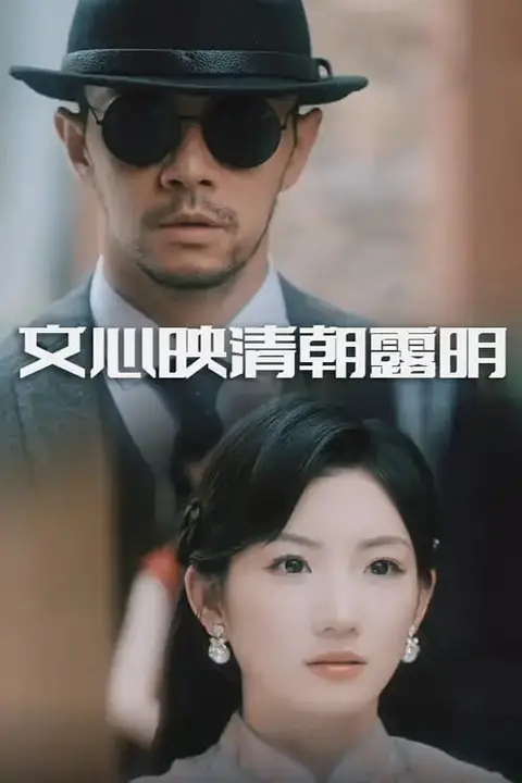 《文心映清朝露明》封面